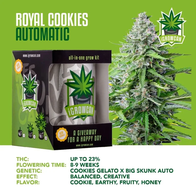 iGrowCan Cannabis Grow Kit Automatic