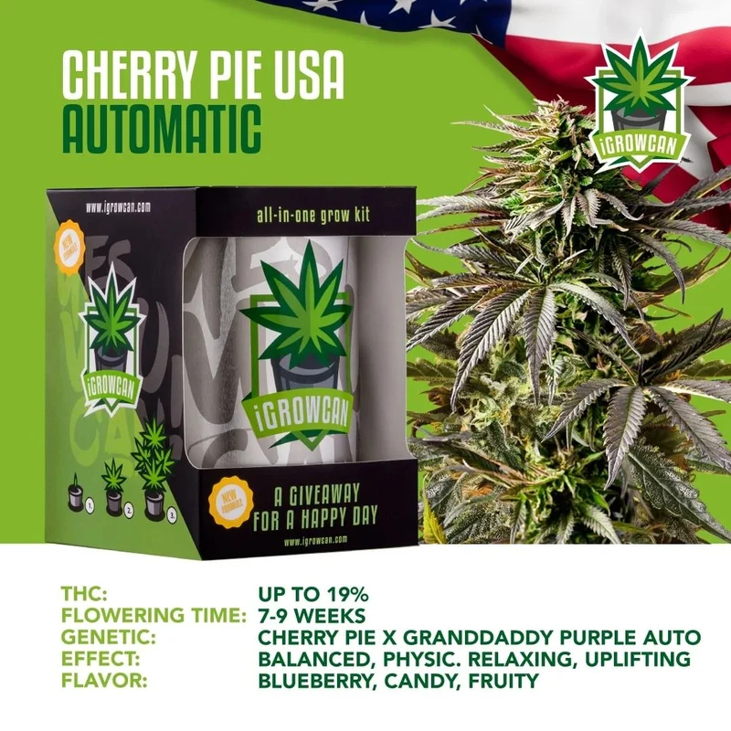 iGrowCan Cannabis Grow Kit Automatic