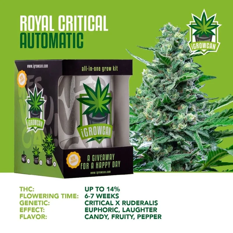 iGrowCan Cannabis Grow Kit Automatic