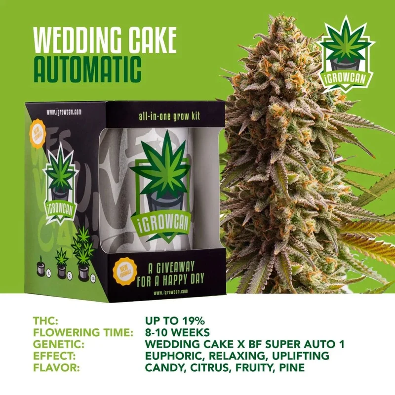 iGrowCan Cannabis Grow Kit Automatic