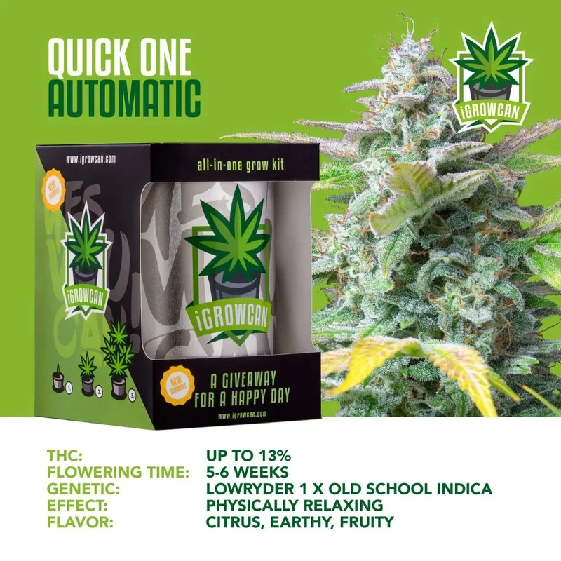 iGrowCan Cannabis Grow Kit Automatic