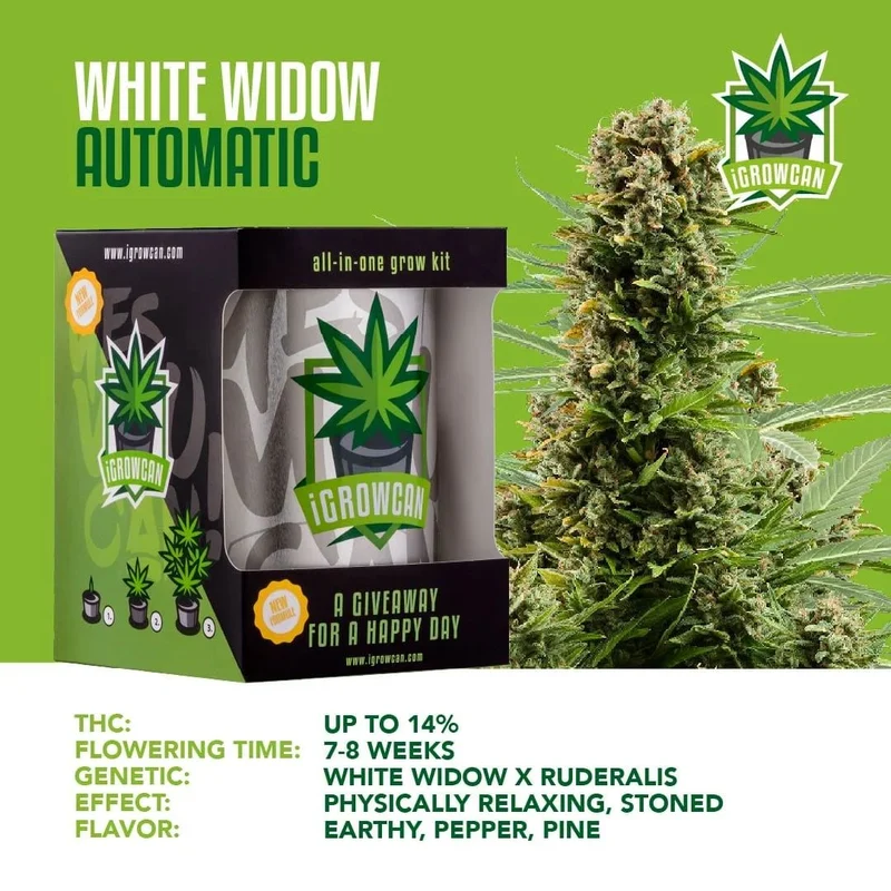 iGrowCan Cannabis Grow Kit Automatic
